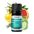Produktbild: Casida® Konzentration & Fokus Duftmischung ätherische Öle mit Grapefruitöl, Rosmarinöl, Eykalyptusöl, Zitronenöl, Bergamottenöl - für eine bessere Konzentration - 5 ml - Aus der Apotheke