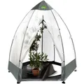 Produktbild: BioGreen Foliengewächshaus Tropical Island XL Schutzzelt Kübelpflanze Ø340x280cm