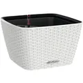 Produktbild: Lechuza® Pflanzgefäß Bacino Cottage Weiß 30 cm x 30 cm Erdbewässerungssystem