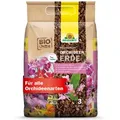 Produktbild: Neudorff NeudoHum Orchideen-Erde 3 l torffrei