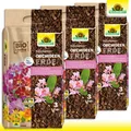 Produktbild: Neudorff 3 x 3 L NeudoHum Orchideenerde