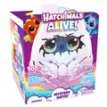 Produktbild: Spin Master EGG Big Egg - Secret Hatch Draggle