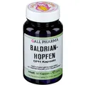 Produktbild: Baldrian-Hopfen GPH Kapseln