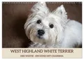 Produktbild: WEST HIGHLAND WHITE TERRIER - DER WESTIE - EIN HUND MIT CHARISMA (Wandkalender 2