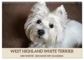 Produktbild: Angela Rohde | WEST HIGHLAND WHITE TERRIER - DER WESTIE - EIN HUND MIT...