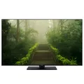 Produktbild: Panasonic TB-55W60AEZ schwarz