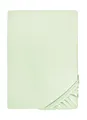 Produktbild: biberna 0077144 Spannbetttuch Feinjersey (Matratzenhöhe max. 22 cm), gekämmte Baumwolle, superweich, 1x 90x190 cm - 100x200 cm, mint