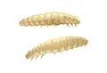 Produktbild: Libra Lures Kunstköder Libra Lures Larva 35 Gummiköder Käse schwimmend, (12-St)
