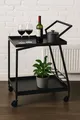 Produktbild: Servierwagen Barwagen Metall Schwarz matt mit Rollen & Flaschenhalter Industrial