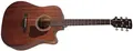 Produktbild: Ibanez AW54CE-OPN, Natur, Dreadnought mit Cutaway, 651 mm, 43 mm, 6 Saiten, Rechts