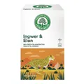 Produktbild: Tee - Ingwer & Elan 40g | LEBENSBAUM