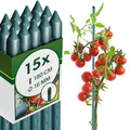 Produktbild: KADAX Pflanzstäbe 180 cm x 16 mm, 15er Set – Beschichteter Stahl Rankstab, Pflanzenstütze & Tomatenstäbe für Garten, Wetterfest & Stabil