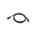 Produktbild: Lenovo - DisplayPort-Kabel - DisplayPort (M) bis DisplayPort (M) - 1.8 m - FRU - für ThinkCentre M78, M920, ThinkStation E31, E32, P410, S20, ThinkVision LT1952