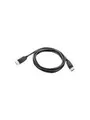 Produktbild: Lenovo DisplayPort cable - 1.8 m