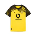Produktbild: Puma Bvb Home Jersey Replica Jr With Sponsor - faster yellow-puma black /Gr: 152