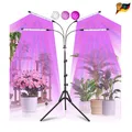 Produktbild: Railee Pflanzenlampe HD-PL-08DC Grow Lampe 120 LEDs 4 Köpfe Ständer Rot Blau