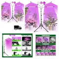 Produktbild: Railee Pflanzenlampe LED Vollspektrum 120 LEDs Grow Lampe Pfl