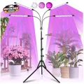 Produktbild: Pflanzenlampe LED Vollspektrum 120LEDs 4 Köpfe Timer Ständer Grow Lampe 10Stufen