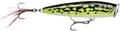 Produktbild: SKITTER POP ELITE SPE75 GDLF