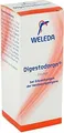 Produktbild: DIGESTODORON Dilution 50 ml