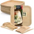 Produktbild: Moritz & Moritz Einweggeschirr-Set 75tlg Palmblatt Geschirr Eckig 25x25cm (75-tlg), 25 Personen, Palmblatt, Birkenholz, Nachhaltiges Einweggeschirr - 25 Teller Einweg - 25 Holzbesteck Einweg