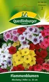 Produktbild: Flammenblume Phlox Mischung Samen von Quedlinburger Saatgut