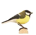 Produktbild: Wildlife Garden Dekoobjekt Dekovogel Kohlmeise
