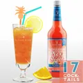 Produktbild: Sex On The Beach - 0,7 l Premix für 17 fertige Cocktails, Fertigcocktail, Premix