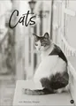 Produktbild: Cats Edition Kalender 2026 Monika Wegler