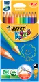 Produktbild: BIC KIDS Buntstifte Evolution ecolutions 12er Kartonetui