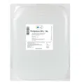 Produktbild: Sala Essigsäure Essigessenz 25% E260 Lebensmittelqualität (10 L Kanister)
