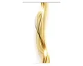 Produktbild: Schiebegardine Digitaldruck Neblana gold 60x245 cm