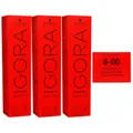 Produktbild: Schwarzkopf Igora Royal 3 x 60 ml 8-00 hellblond natur extra Haarfarbe Cremefarb