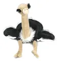 Produktbild: Uni-Toys - Handpuppe Strauß - 33 cm (Höhe) - Plüsch-Vogel - Plüschtier, Kuscheltier