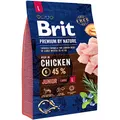 Produktbild: BRIT Premium By Nature Junior L Chicken 3 kg