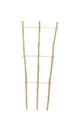 Produktbild: Pflanzgitter Bambus floraworld 32x75cm
