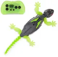 Produktbild: HEX BOTS Wall Crawler Gecko, Rechargeable Remote Control Robot Kids Toys, Climbs