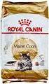 Produktbild: Royal Canin Maine Coon Katzenfutter, 10 kg