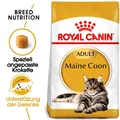 Produktbild: ROYAL CANIN Maine Coon Adult Trockenfutter Katzenfutter 10 kg