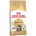 Produktbild: Royal Canin Breed Maine Coon Adult Trockenfutter 10 kg