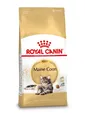 Produktbild: ROYAL CANIN Maine Coon Adult 10kg Trockenfutter für erwachsene