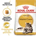 Produktbild: Royal Canin Maine Coon Adult - 10 kg