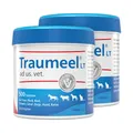 Produktbild: Traumeel LT ad us. vet. Doppelpack 2X500 St