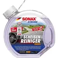 Produktbild: SONAX Xtreme SOMMER ScheibenReiniger 3L