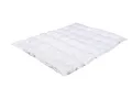 Produktbild: Träumeland T060551 Decke Daunentraum 100 x 135 cm