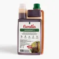 Produktbild: Ewalia Magensaft 1 für Pferde