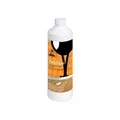 Produktbild: Loba Lobacare ParkettCare Parkettglanz Dispersionspflegemittel 1 Liter