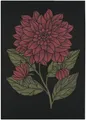 Produktbild: EKELUND MASTER WEAVERS 1692 Geschirrtuch Küchenhandtuch Dahlia Dekorativ 930 35x50 cm, (1-tlg., 1 x Geschirrtuch), gewebt