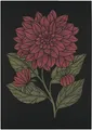 Produktbild: Ekelund Küchenhandtuch Dahlia Dekorativ 930 35x50 cm Baumwolle