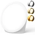 Produktbild: Tageslichtlampe 10000 Lux Sonnenlicht mit 3 Lichtfarben, 6 Timern, 5 einstellbaren Lichtintensitäten und Memoryfunktion, Sonnenlampe UV-frei für schreibtisch